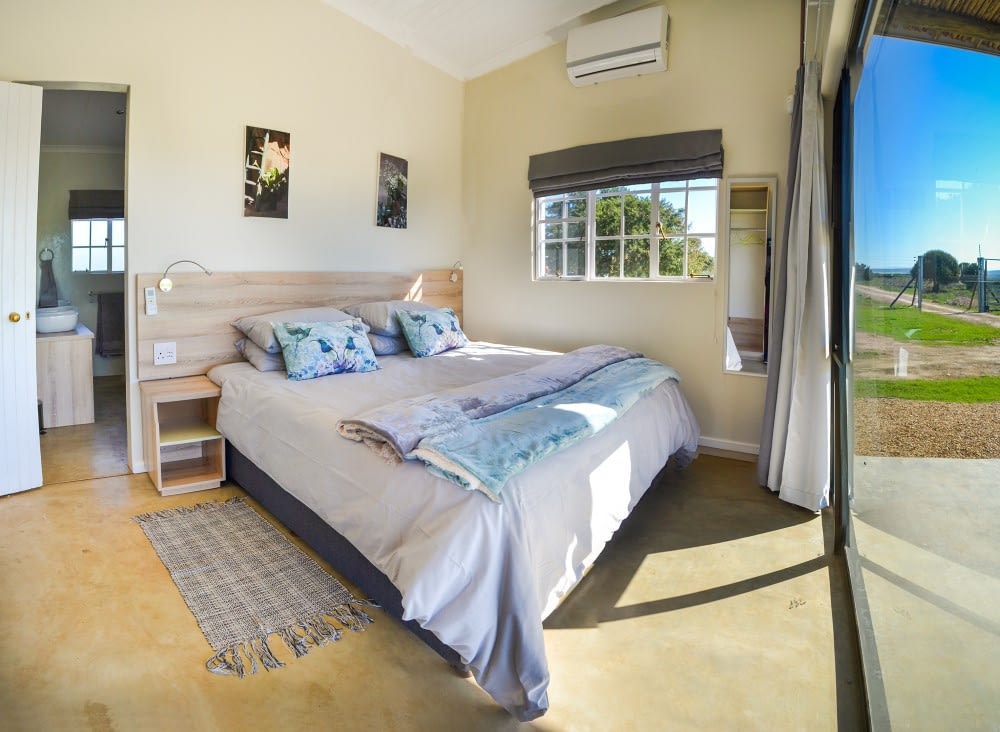 Accommodation near Addo Colchester South Africa Big 5 Port Elizabeth